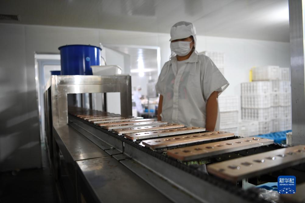 申请免费自动送彩金